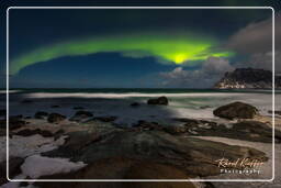 Aurora Boreale (Lofoten) (53)