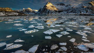 Flakstadpollen (Lofoten) (43)