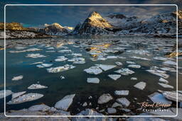 Flakstadpollen (Lofoten) (43)