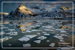 Flakstadpollen (Lofoten) (58)