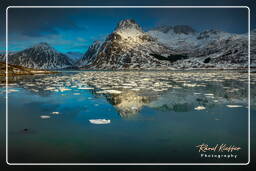 Flakstadpollen (Lofoten) (67)