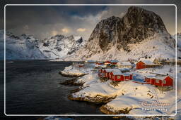 Hamnøy (Lofoten) (121)