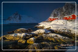 Hamnøy (Lofoten) (208)