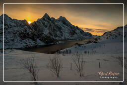 Mærvollspollen Fjord (Lofoten) (4)