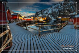 Nusfjord (Lofoten) (397)