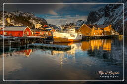 Nusfjord (Lofoten) (420)