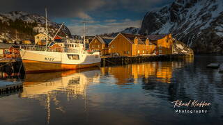 Nusfjord (Lofoten) (425)