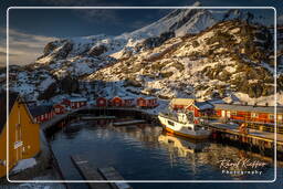 Nusfjord (Lofoten) (445)