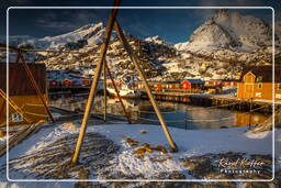 Nusfjord (Lofoten) (475)