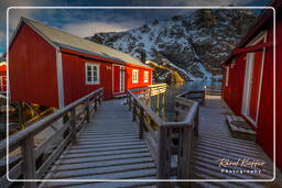 Nusfjord (Lofoten) (510)