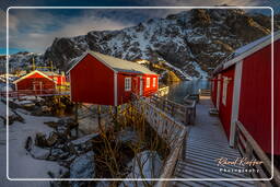 Nusfjord (Lofoten) (530)