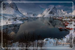 Reine (Lofoten) (42)