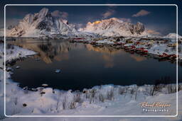 Reine (Lofoten) (104)