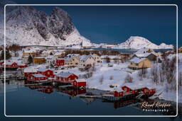 Reine (Lofoten) (147)