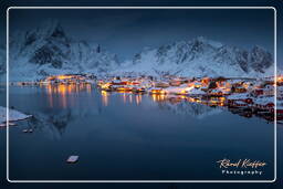 Reine (Lofoten) (237)