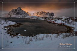 Reine (Lofoten) (248)