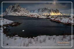 Reine (Lofoten) (398)