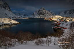 Reine (Lofoten) (588)