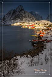 Reine (Lofoten) (627)