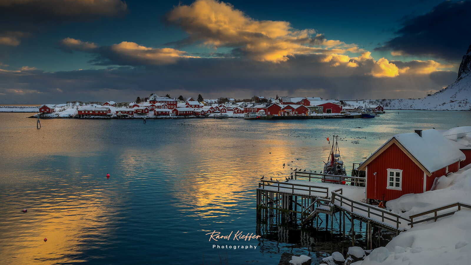 Reine