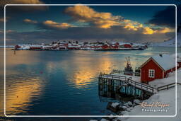 Reine (Lofoten) (666)