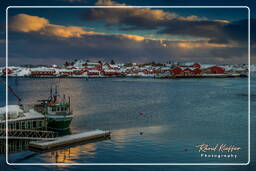 Reine (Lofoten) (693)