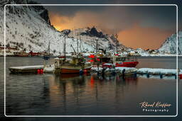 Reine (Lofoten) (735)