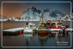 Reine (Lofoten) (744)