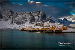 Sakrisøy (Lofoten) (79)