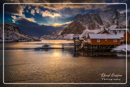 Sakrisøy (Lofoten) (118)