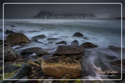 Skagsanden Beach (Lofoten) (31)