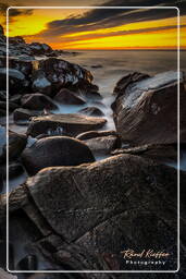 Utakleiv Beach (Lofoten) (310)