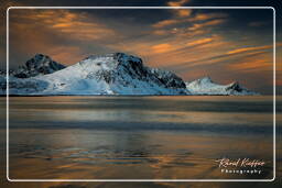 Vik Beach (Lofoten) (152)