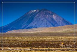 Altiplano (56)