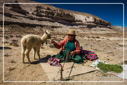 Altiplano (105)