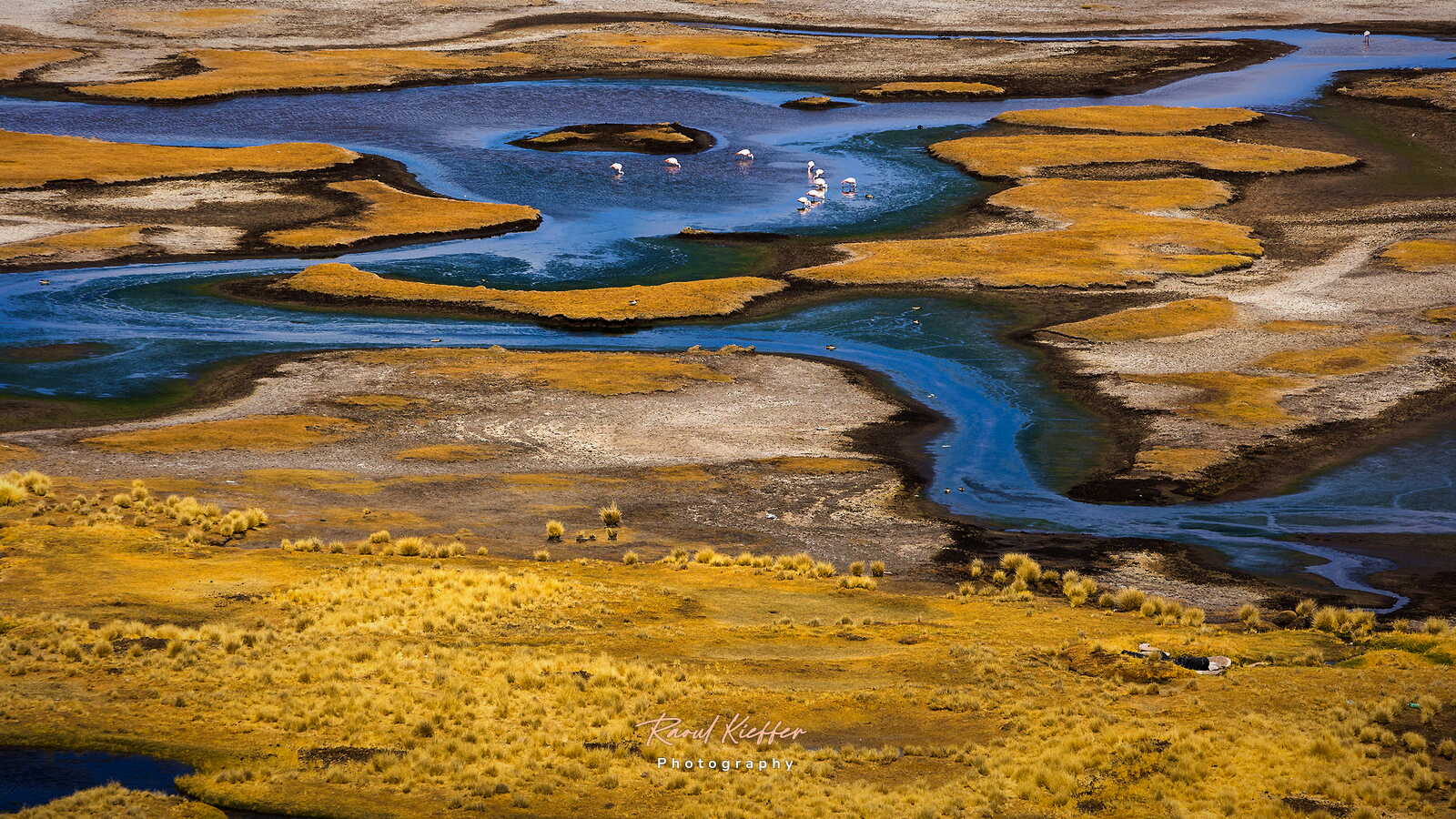 Altiplano