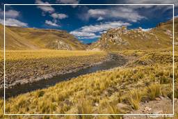 Altiplano (281)