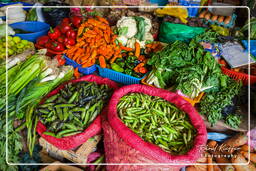 Puerto Maldonado Market, Puerto Maldonado (3)