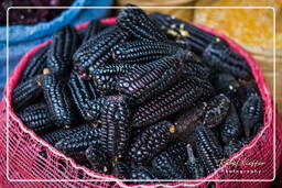 Puerto Maldonado Market, Puerto Maldonado (8)
