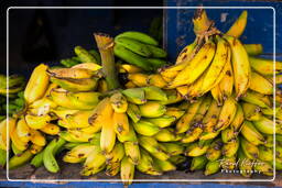 Puerto Maldonado (23) Marché de Puerto Maldonado