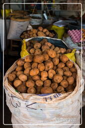 Puerto Maldonado (24) Marché de Puerto Maldonado