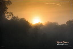 Reserva nacional Tambopata - Floresta Amazônica (8) Río Madre de Dios