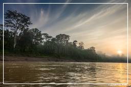 Tambopata National Reserve - Amazonas Regenwald (9) Río Madre de Dios