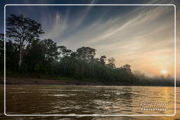 Madre de Dios River, Tambopata National Reserve - Amazon Rainforest (9)