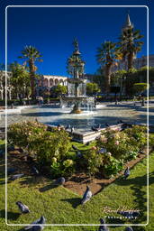 Plaza de Armas, Arequipa (44)