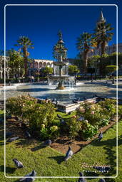 Arequipa (44) Plaza de Armas