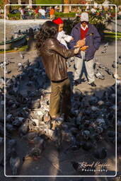 Plaza de Armas, Arequipa (66)