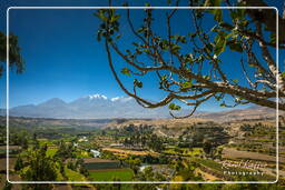 Arequipa (106)