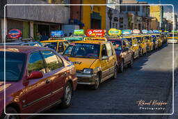 Arequipa (167)