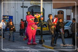 Arequipa (180)